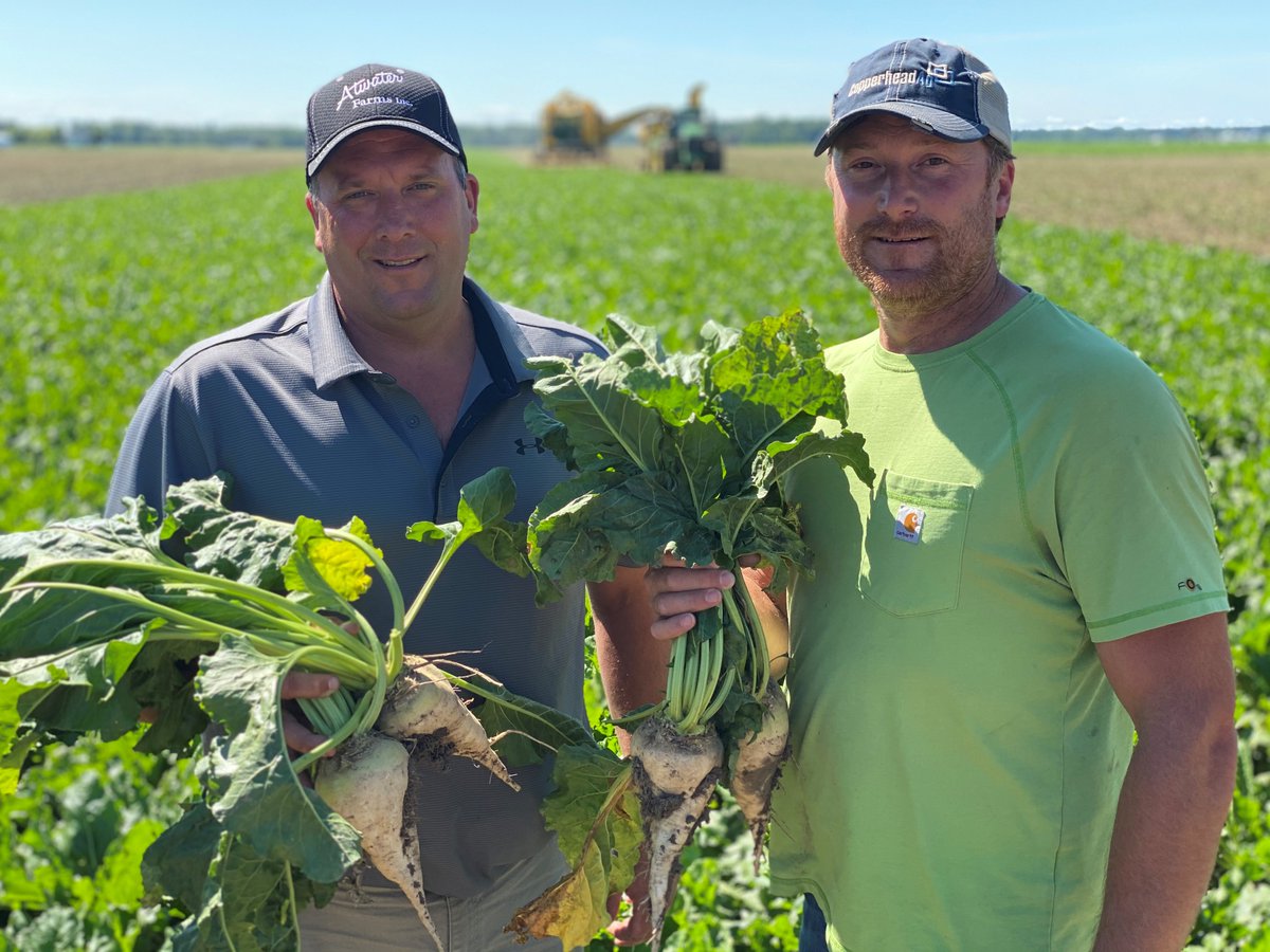 SugarAlliance's tweet image. U.S. sugar policy is a common-sense policy that helps family farmers continue producing an all-natural, made-in-America ingredient.
Read more about the importance of U.S. sugar policy in the words of three sugarbeet farmers: bit.ly/4lE0o4Q.