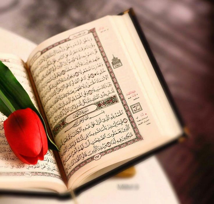 ٰ
                في ليلة الجمعة
        أسالك يارب أيامًا تمر بسلام..
     أيامًا هيّنة خفيفة لا إحباط يثقلها
              ولا خيبة تُعكرها...❤