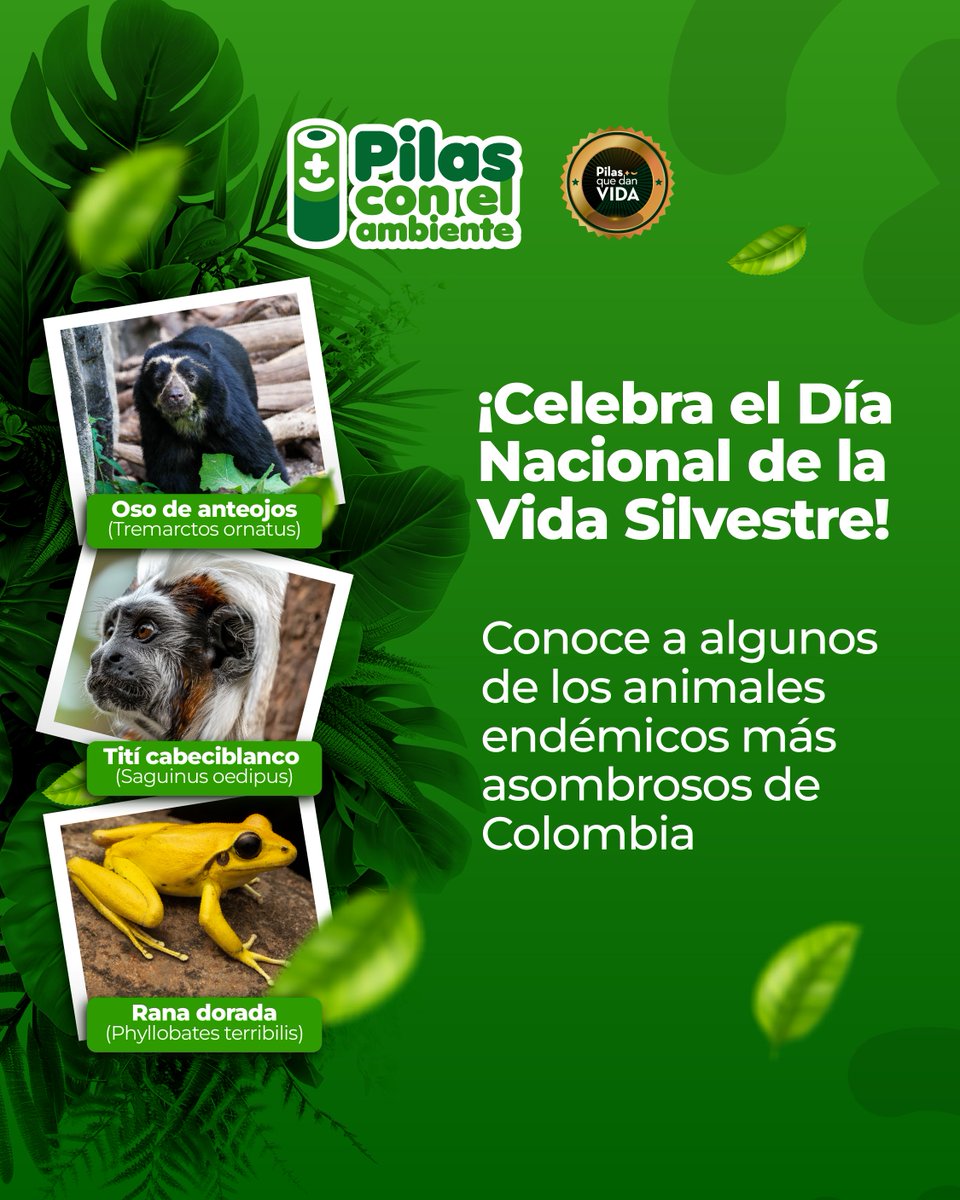 ¡Celebra el Día Nacional de la Vida Silvestre! 🌿
Colombia es hogar de especies únicas que nos llenan de orgullo y nos recuerdan lo valioso de proteger la biodiversidad.

💚 ¡Conocerlos es el primer paso para cuidarlos!