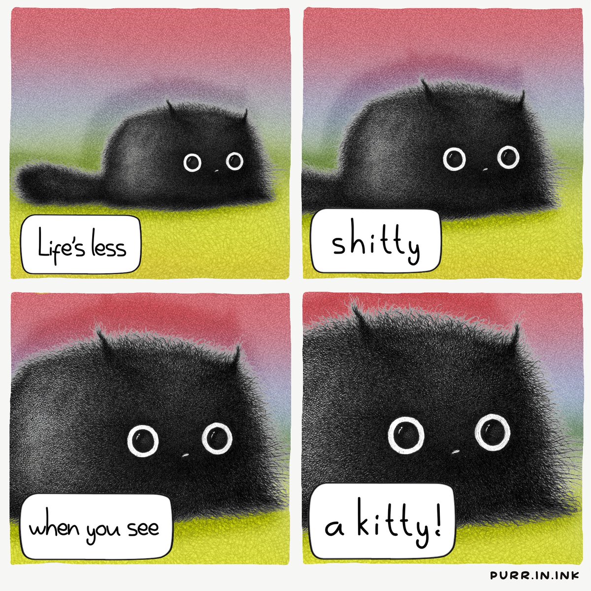 🐈‍⬛🤍