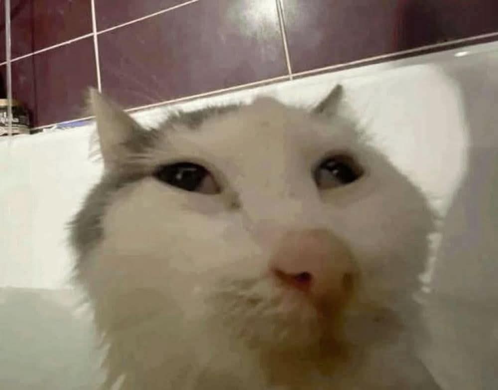 JustWR15 tweet media