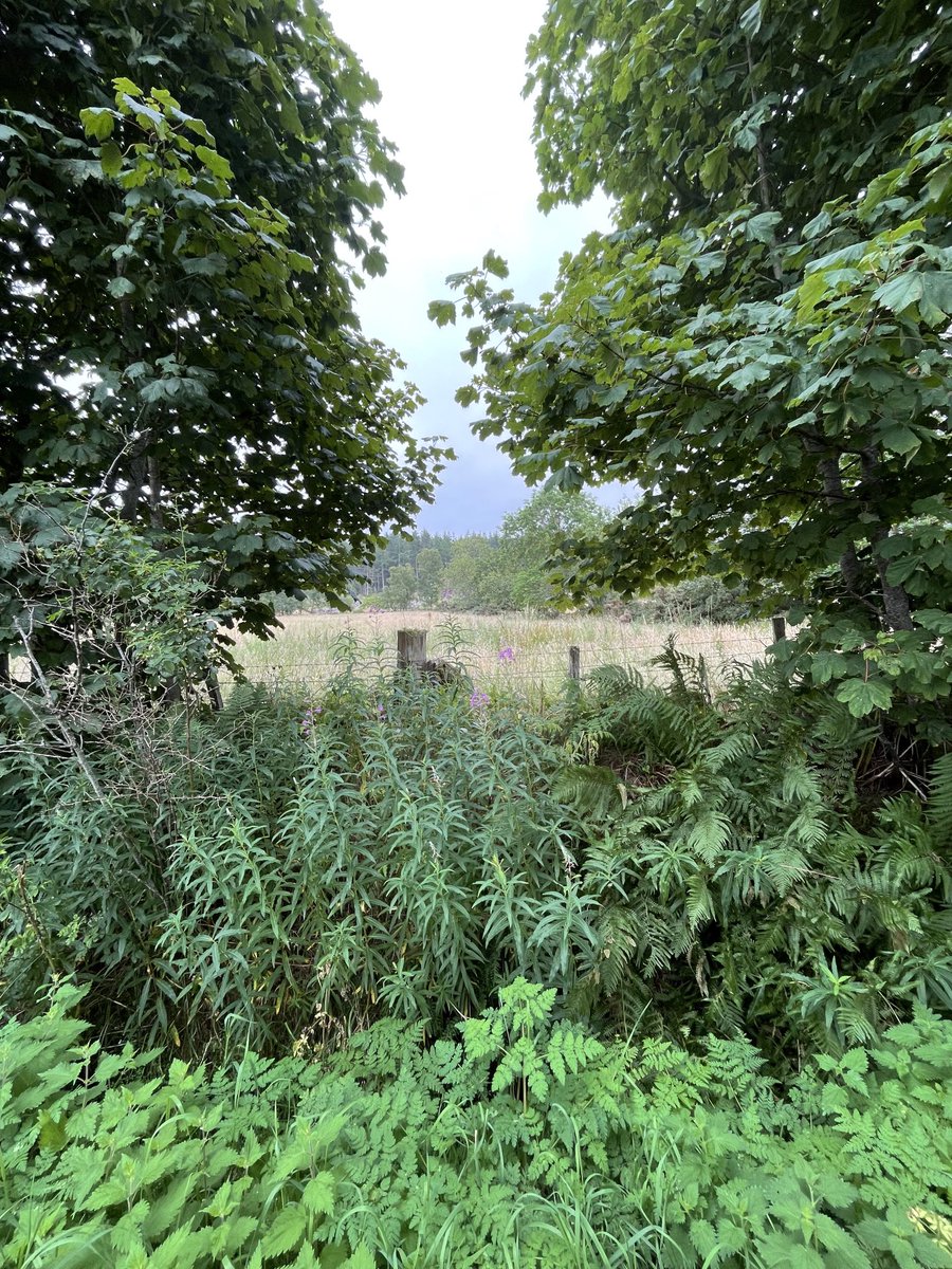 Dull, hot and humid out there today
