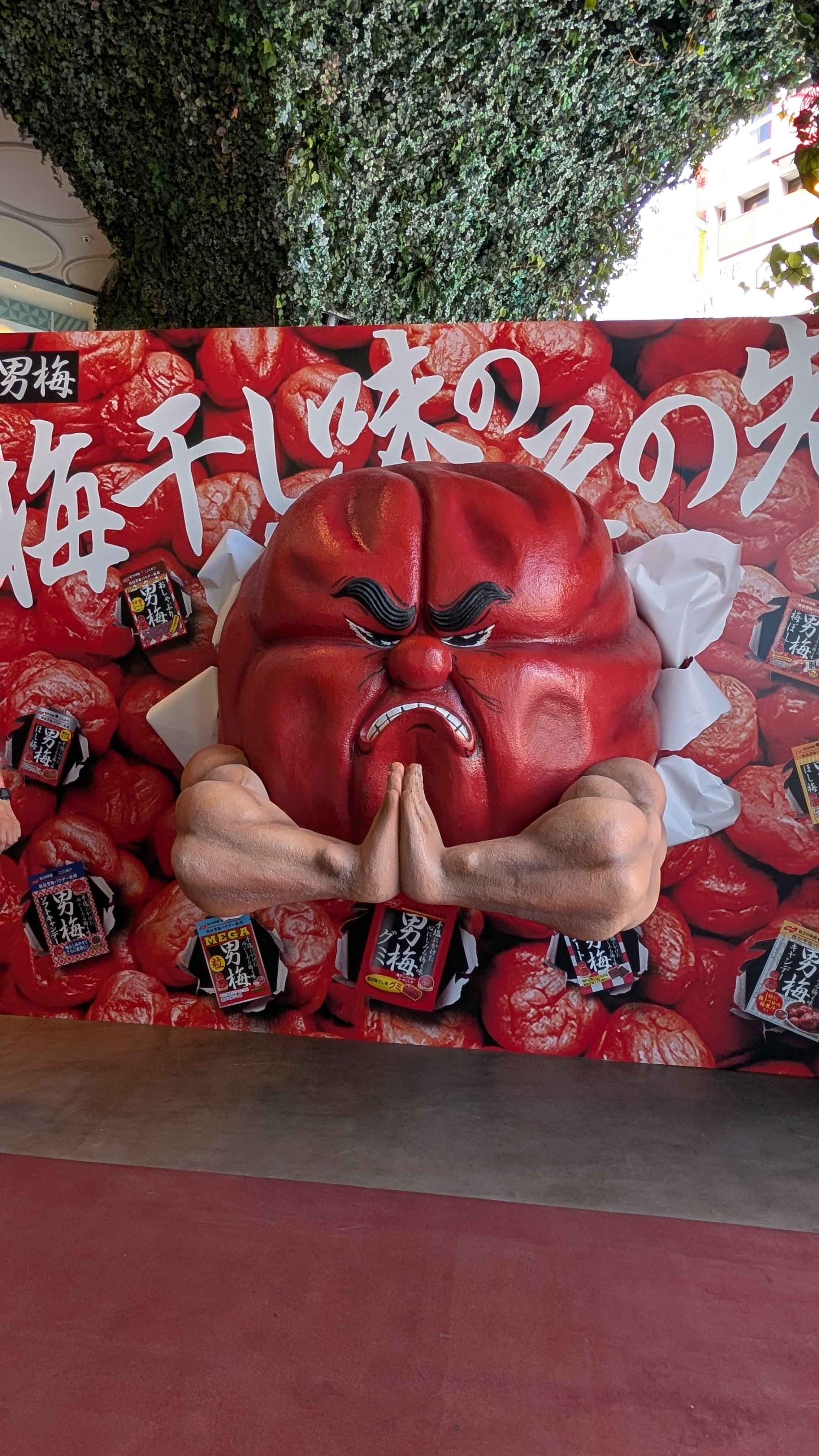 ★台本　激走！ルーベンカイザー　第1話～第5話　大堂勲/田村多津夫先生/東映動画 Ost, センチメンタル・シティ・ロマンス, 村岡雄治 - 金田一耕助