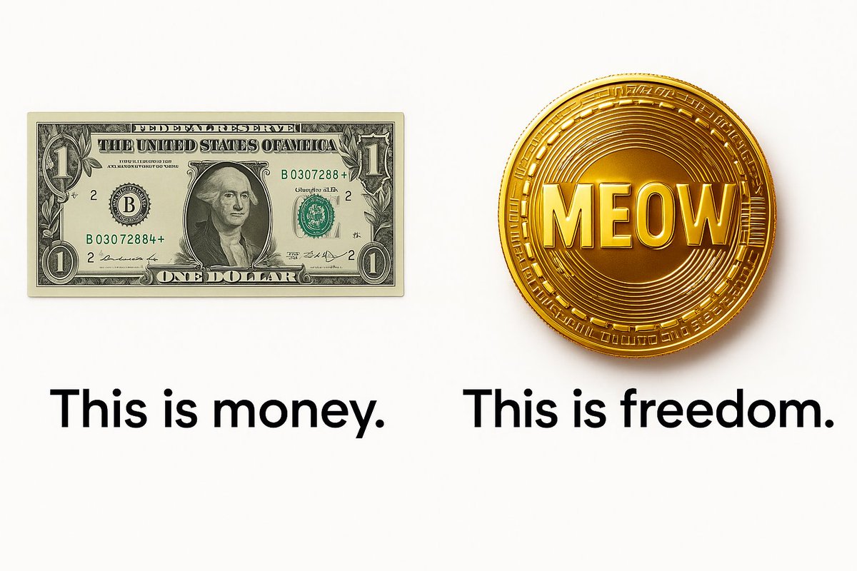 meow_cabal's tweet image. meow