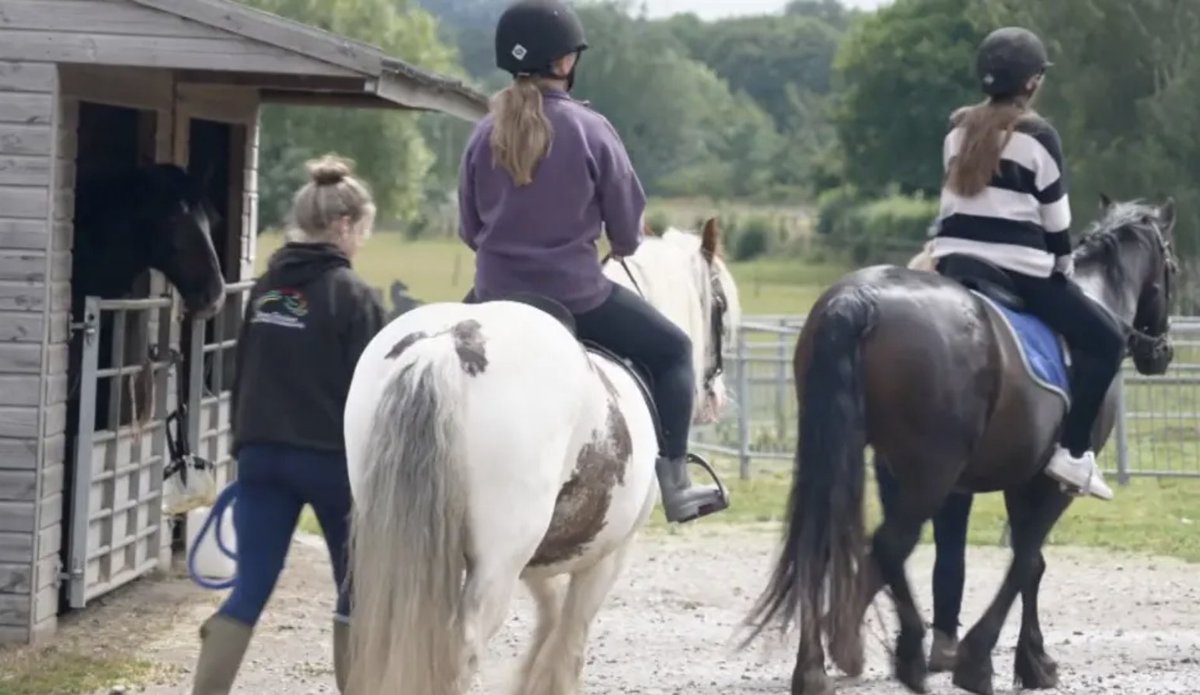 PoliceMutual's tweet image. Horse Power - girls in Kent who have had issues with behaviour and school absence or confidence have had their outlooks have changed after working with horses. Stables in Maidstone teamed up with @kent_police to provide the Crime Cloppers course.
orlo.uk/byAv2