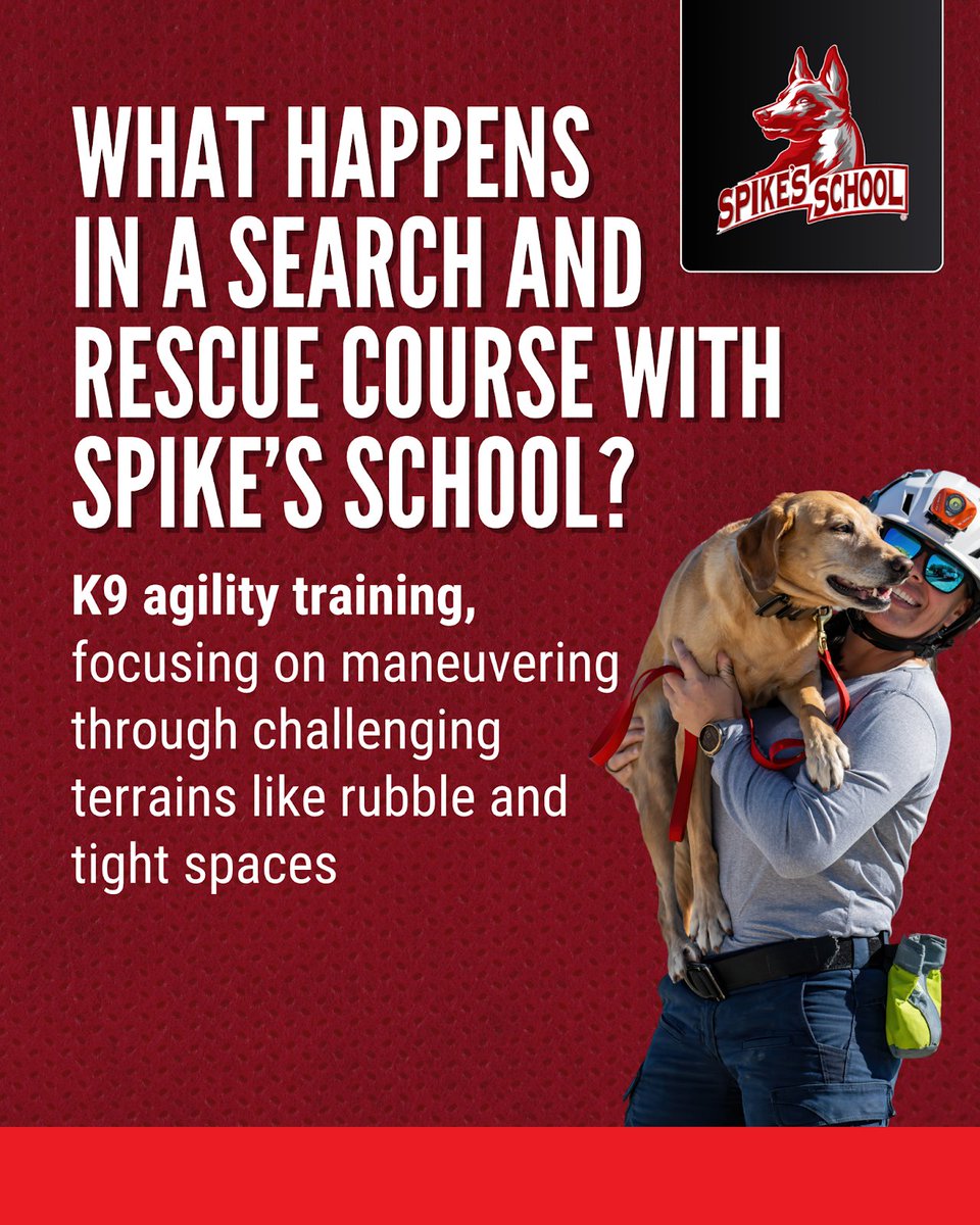 Spikesk9fund's tweet image. In the wake of hurricanes, wildfires, or building collapses, victims can be trapped, disoriented &amp;amp; running out of time. #SearchAndRescue dogs are often the fastest &amp;amp; only hope, navigating chaos &amp;amp; debris where humans can’t, &amp;amp; bringing closure to grieving families.

#SpikesSchool…
