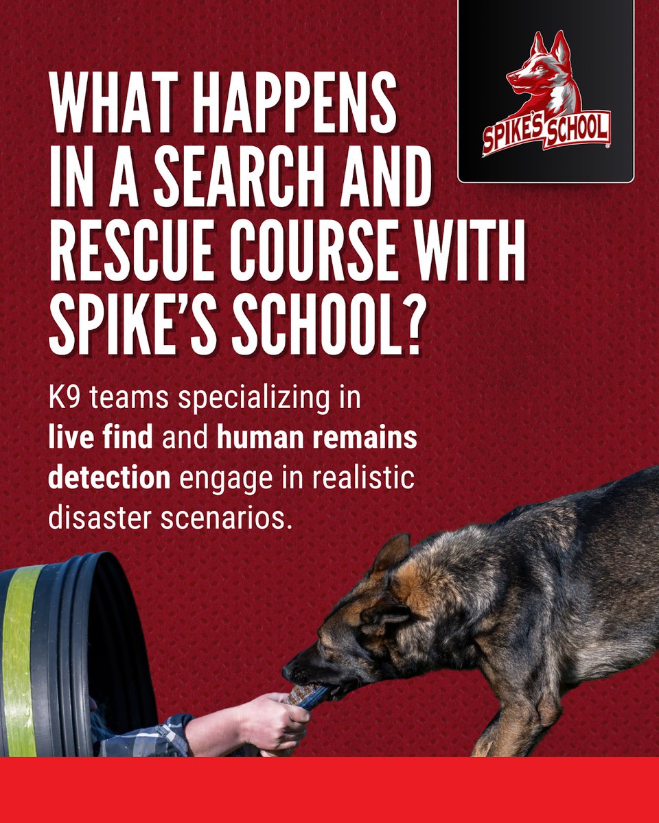 Spikesk9fund's tweet image. In the wake of hurricanes, wildfires, or building collapses, victims can be trapped, disoriented &amp;amp; running out of time. #SearchAndRescue dogs are often the fastest &amp;amp; only hope, navigating chaos &amp;amp; debris where humans can’t, &amp;amp; bringing closure to grieving families.

#SpikesSchool…