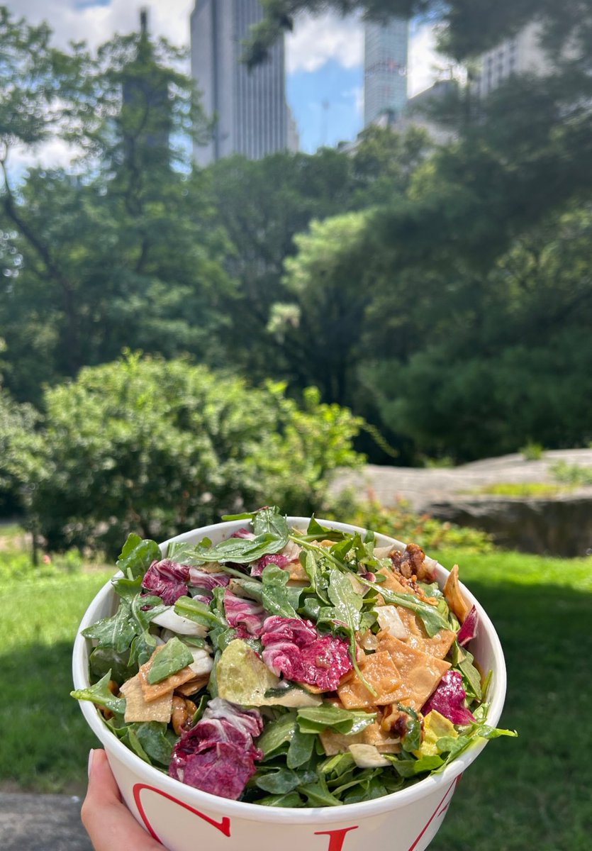 Mangia_NYC's tweet image. Isn’t she pretty? 💚 #mangianyc #salads