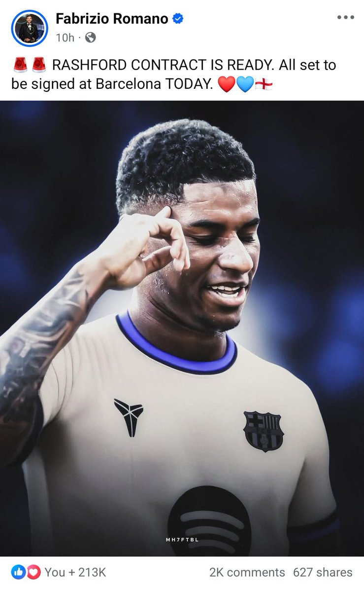 MH7 (fan) tweet media