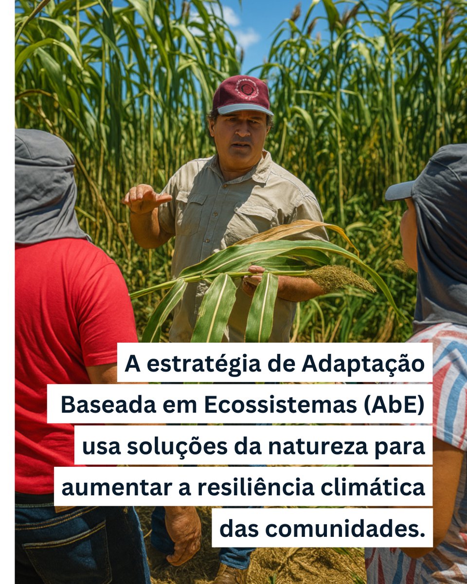 🌱 Como a natureza pode ajudar quem vive da terra a enfrentar as mudanças do clima?

Foi com essa pergunta que nasceu o projeto COTRIAbE, uma parceria entre Brasil, Bolívia e Alemanha para fortalecer a #AgriculturaFamiliar e recuperar áreas degradadas no sul da Bolívia.