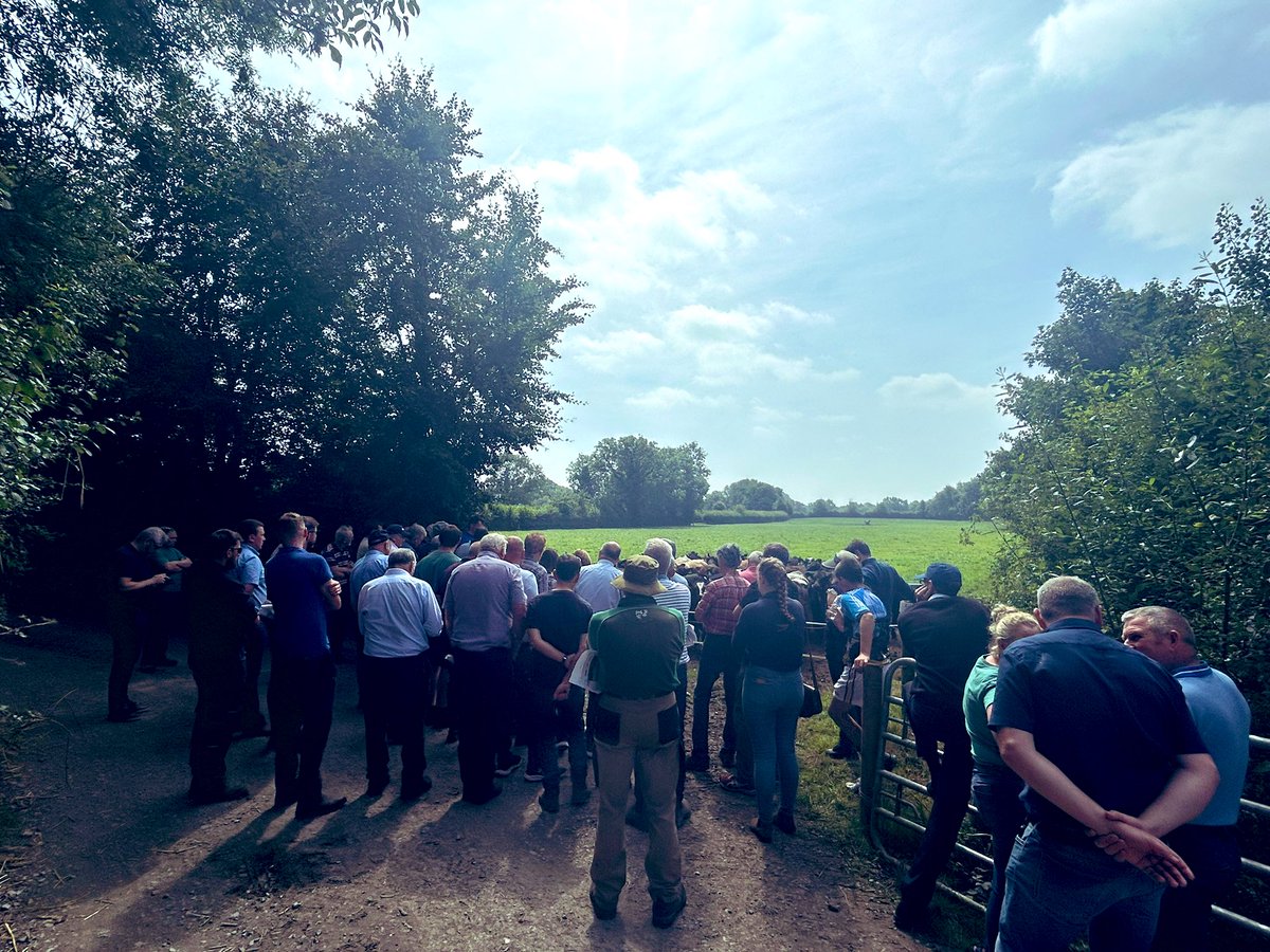 J Hartnett (@jj_hartnett) on Twitter photo Great turn out this morning for the North Cork <a href="/IFAmedia/">Irish Farmers' Association</a> beef event.Very informative tour of the farm&research trials,followed by a discussion on the challenges&opportunities facing the sector.Presentations from <a href="/HerdPlus/">ICBF</a> <a href="/teagasc/">Teagasc</a> <a href="/dawnmeatsgroup/">Dawn Meats</a> &IFA national livestock chair Great turn out this morning for the North Cork <a href="/IFAmedia/">Irish Farmers' Association</a> beef event.Very informative tour of the farm&research trials,followed by a discussion on the challenges&opportunities facing the sector.Presentations from <a href="/HerdPlus/">ICBF</a> <a href="/teagasc/">Teagasc</a> <a href="/dawnmeatsgroup/">Dawn Meats</a> &IFA national livestock chair