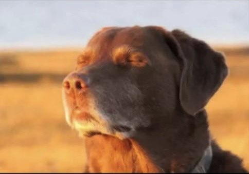 Ben O’Burner(hater) tweet media