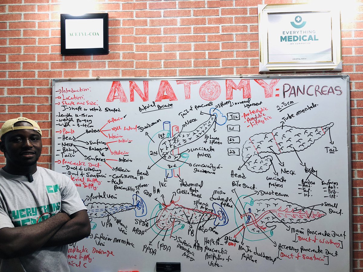 Odu_Ik_Sage_med's tweet image. New video alert ‼️
ANATOMY!!!
Pancreas Demystified.
To all medical and paramedical students, keenly Anticipate!