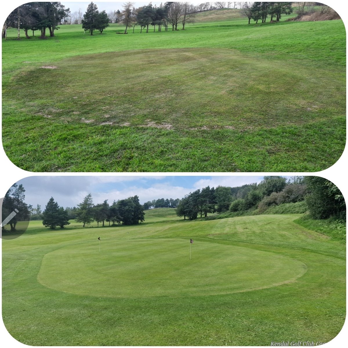 Not bad progress, from a neglected chipping green cut at tee height, to a chipping green cut at 4mm every day. Still a few weeds to get rid of, but apart from that it looks a lot better. (March 23/July 25)
#greenkeeper #greenkeeping #lakesgolf #golflakes