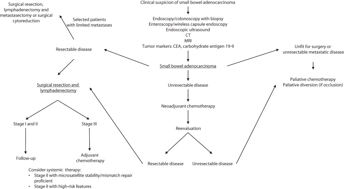 DCRjournal's tweet image. #DCRJournal Resident&apos;s Corner | Evaluation and Management of Small Bowel Adenocarcinoma: bit.ly/4kLIV9g