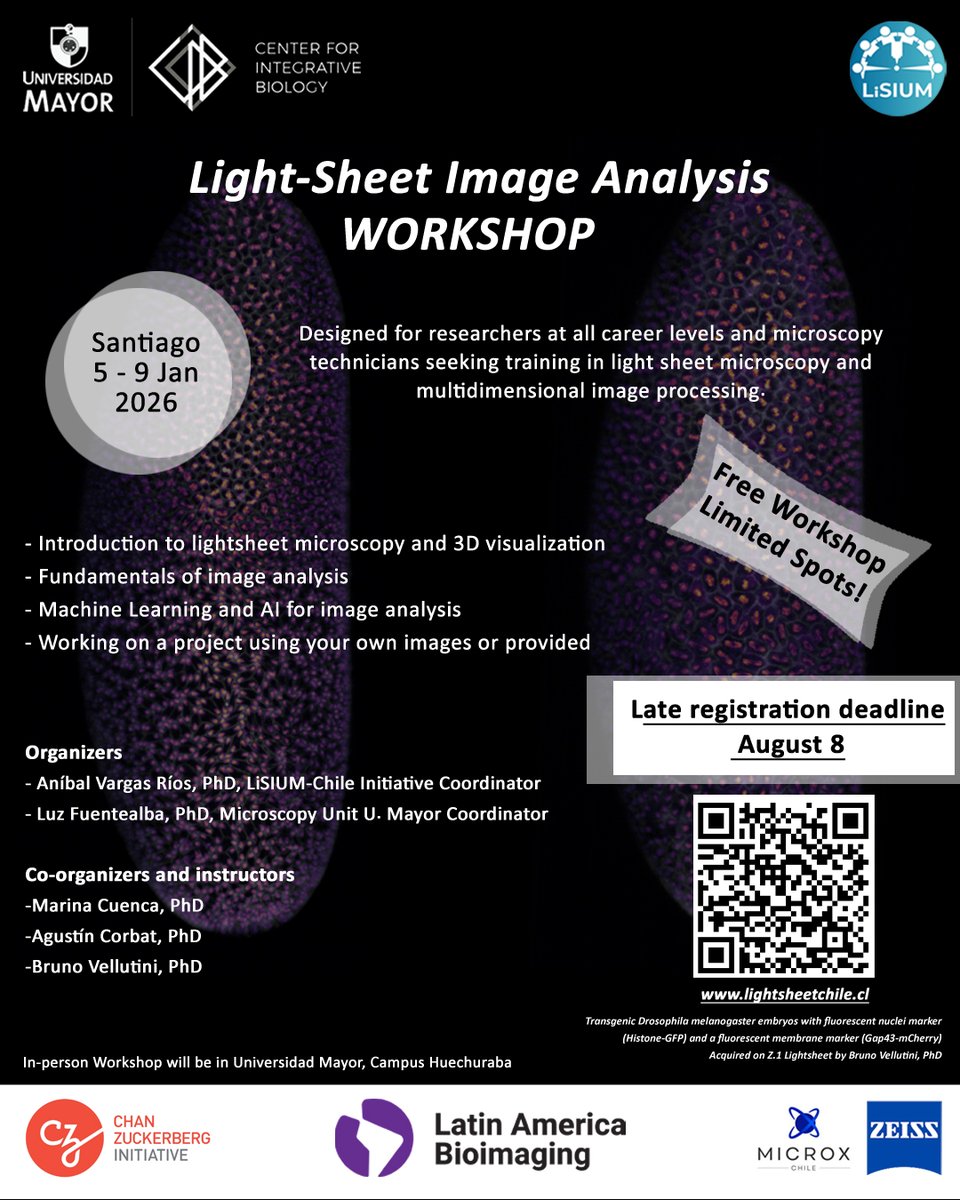 CIBumayor's tweet image. 📢📢Light-Sheet Image Analysis Wookshop 🔬🔬
Las inscripciones aún estan abiertas
@LiSIUM_Chile
@LatamBioimaging
Mas información!
lightsheetchile.cl/es/light-sheet…
👇👇