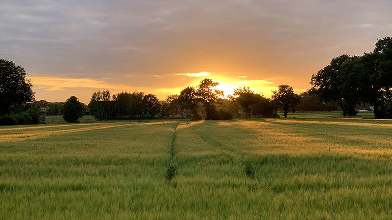 Organic Research Centre tweet media