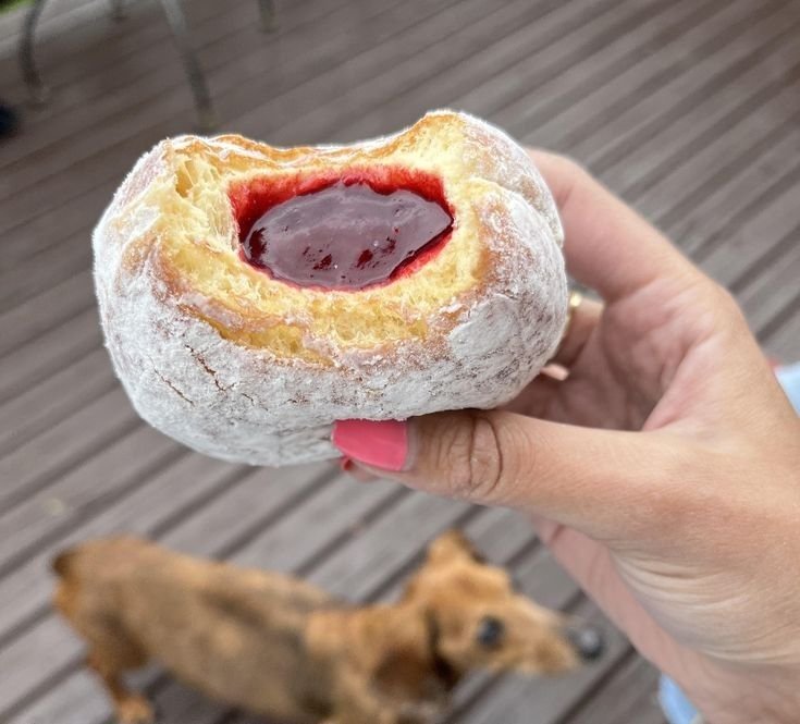 picsturesfolder's tweet image. jam filled donuts