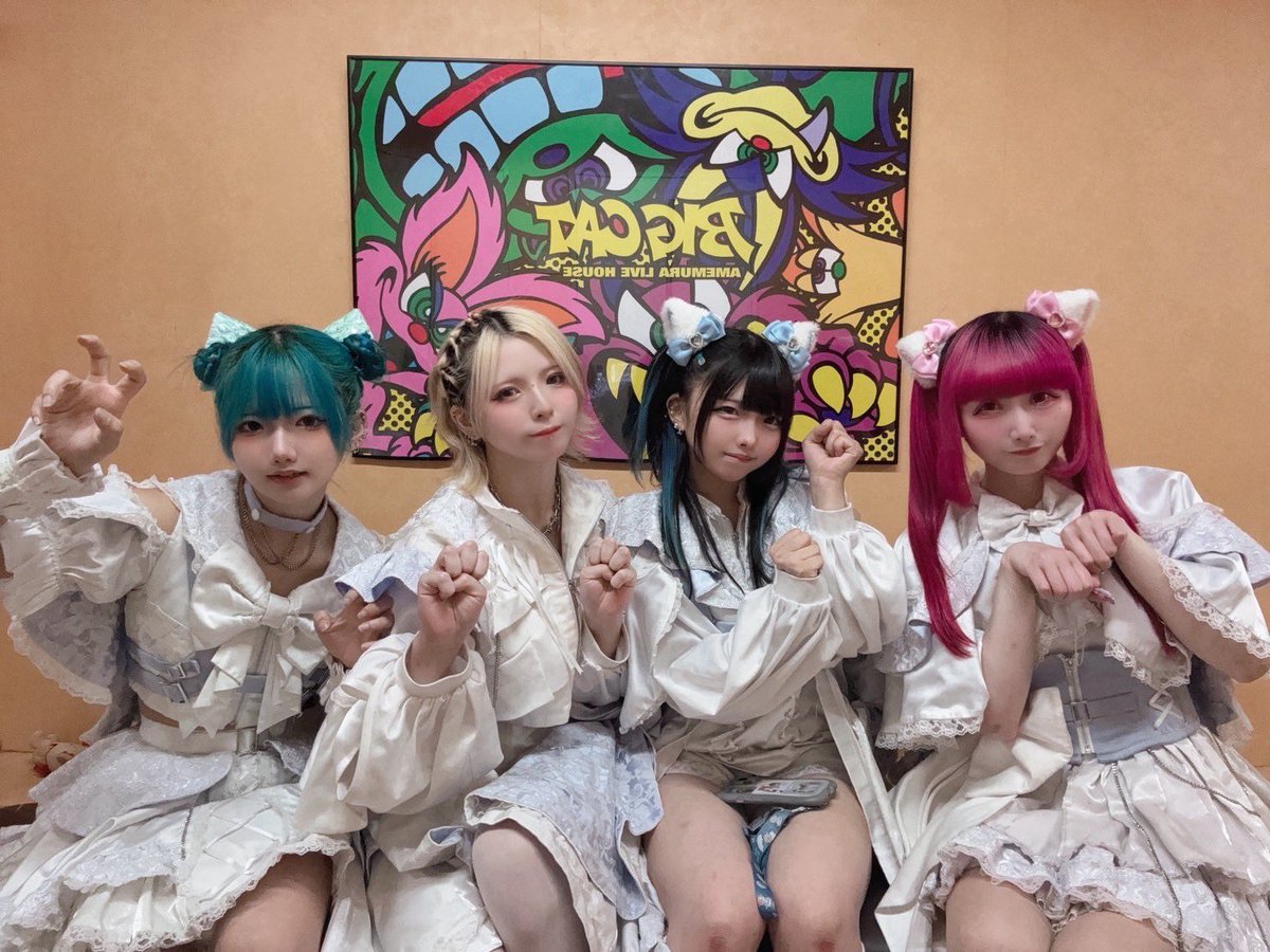 LEIWAN01's tweet image. おっきい猫ちゃん4匹🐱🤍

#レイワン