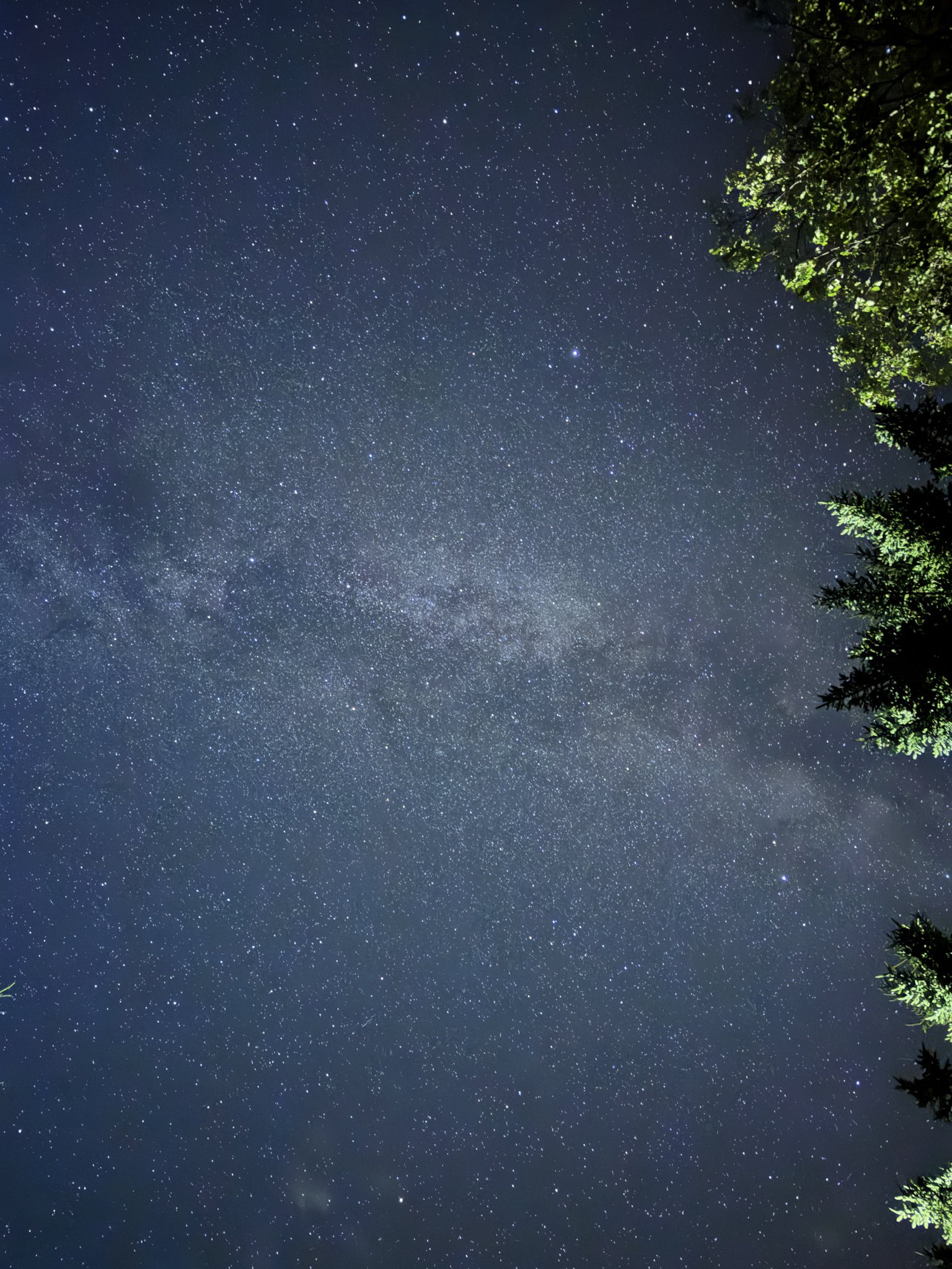 星空2525  星空に浮かぶ手のようなパルサー風星雲「MSH 15-52」 X線宇宙