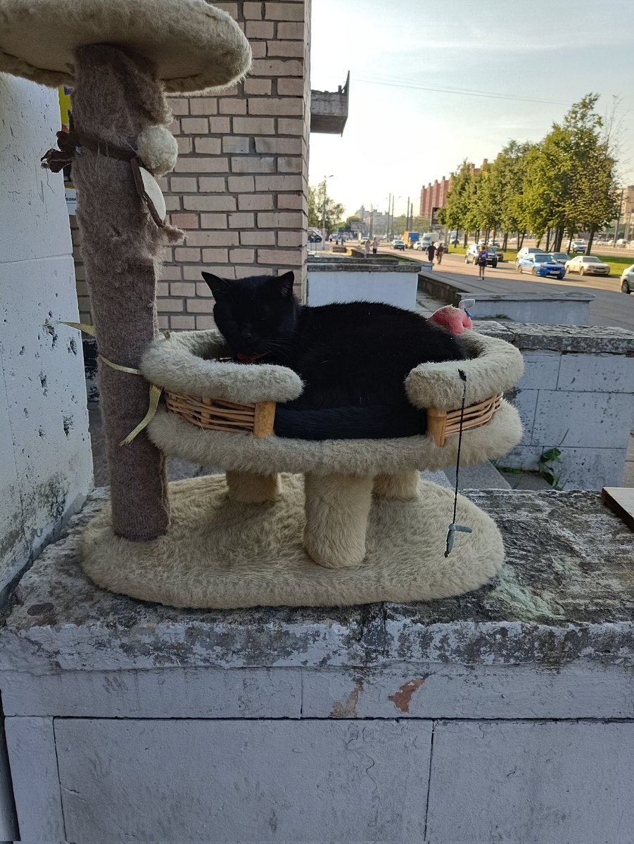 netnoda13009's tweet image. КОЛЛЕГИ ЭТО НЕ УЧЕБНАЯ ТРЕВОГА ПОВТОРЯЮ НЕ УЧЕБНАЯ ТРЕВОГА ОБНАРУЖЕН ДУХОВНЫЙ БРАТ ГЕДОНИСТА КУЗИ
