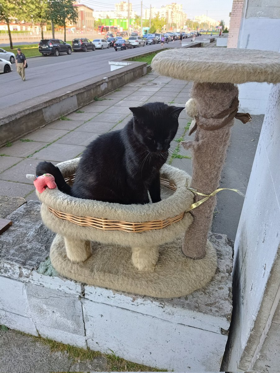 netnoda13009's tweet image. КОЛЛЕГИ ЭТО НЕ УЧЕБНАЯ ТРЕВОГА ПОВТОРЯЮ НЕ УЧЕБНАЯ ТРЕВОГА ОБНАРУЖЕН ДУХОВНЫЙ БРАТ ГЕДОНИСТА КУЗИ