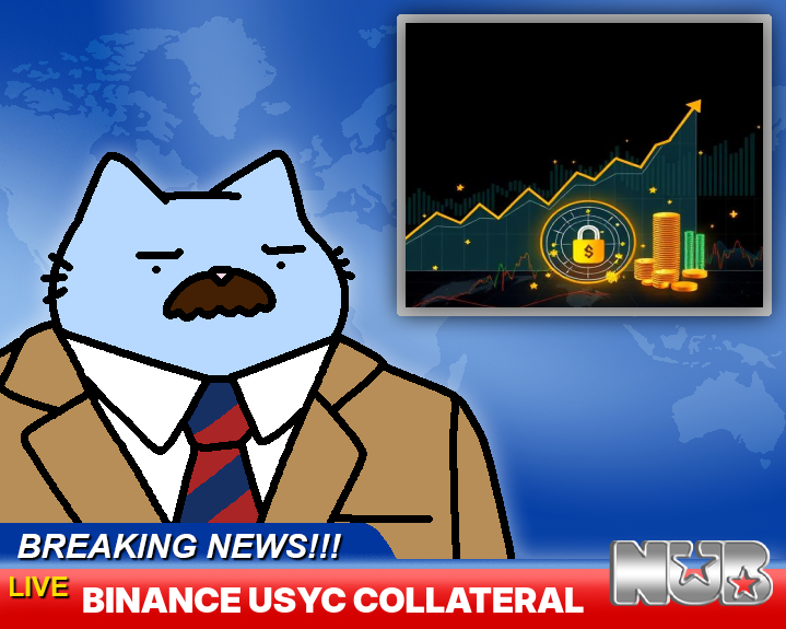 AlertsViaWeb3's tweet image. Binance will now accept Circle&apos;s USYC as collateral for institutional clients. This allows users to earn yield while holding assets off-exchange. The move aims to improve capital efficiency and bridge traditional finance with blockchain. $USYC, $cUSDO are key.