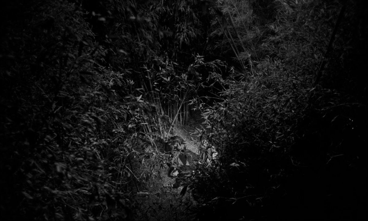 mubi's tweet photo. Romance and adventure thrillingly entwine in Miguel Gomes’s GRAND TOUR — an epic tale of love on the run. https://t.co/ZljDiZDyqQ