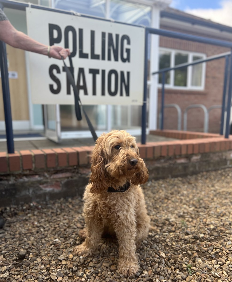 Polling Stations are still open until 10pm for the Royston Town Council (Palace Ward) By-Election!

If you are voting in person, please remember that you need to show Photo ID: …-authority-certificate.service.gov.uk

Locate your polling station: north-herts.gov.uk/polling-statio…