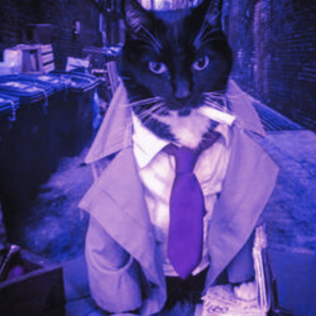 I'm joining the war against the suits. 

On the side of the suits.
