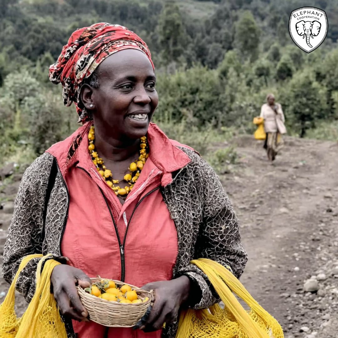 ElephantCoop's tweet image. 👩🏽🌾 Women are driving conservation forward—from rangers to entrepreneurs.
We equip them with tools to lead and protect what matters. 🌍
#CooperateToCoexist #Elephants #WomenInConservation #EmpowerHer #ProtectWildlife