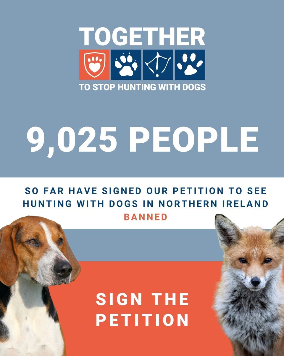 LeagueACS's tweet image. Say no to hunting with dogs in Northern Ireland.

The League Against Cruel Sports and @USPCA are calling for a full ban on hunting with dogs and we need your support.

Sign the petition today:
leagueacs.co.uk/sbOas

#TimeForChangeNI