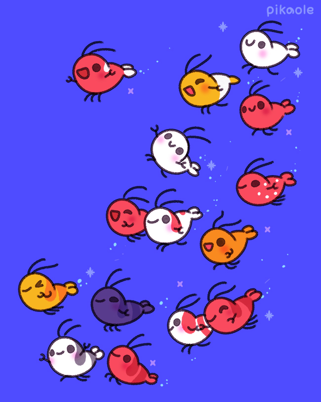 Happy happy happy~🦐 #ShyShrimp