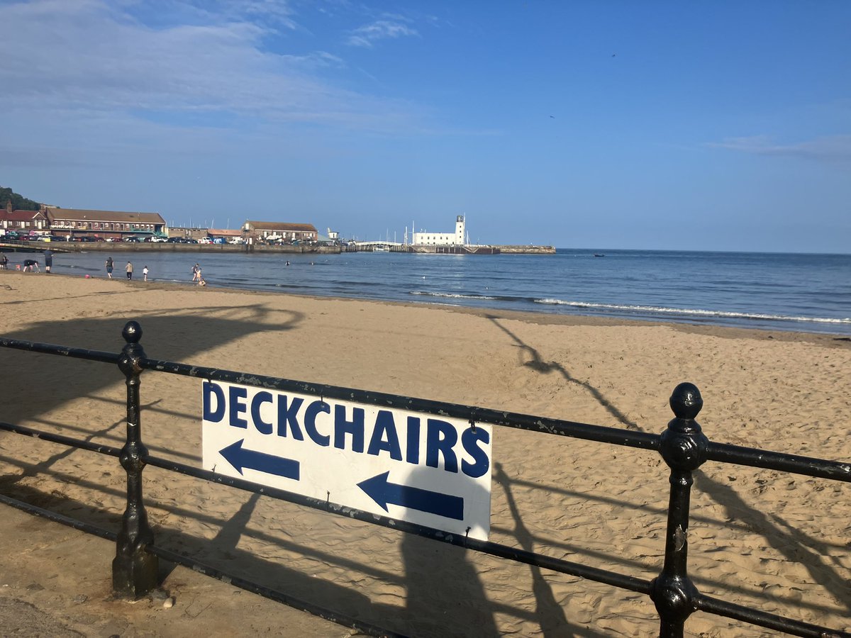 Tess_invests's tweet image. Essential after-work beach time. Seagull guarding someone’s excellent “let’s just dig a big hole” hole.