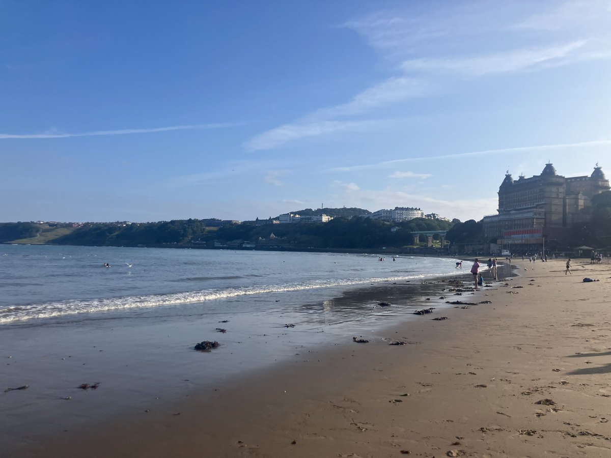Tess_invests's tweet image. Essential after-work beach time. Seagull guarding someone’s excellent “let’s just dig a big hole” hole.