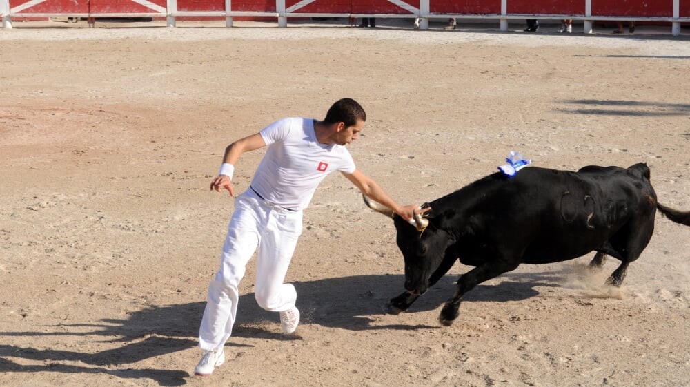 Une course camarguaise arrosée à Saint-Christol pour le 50e trophée Louis Gros
👉 l.laprovence.com/yNAO