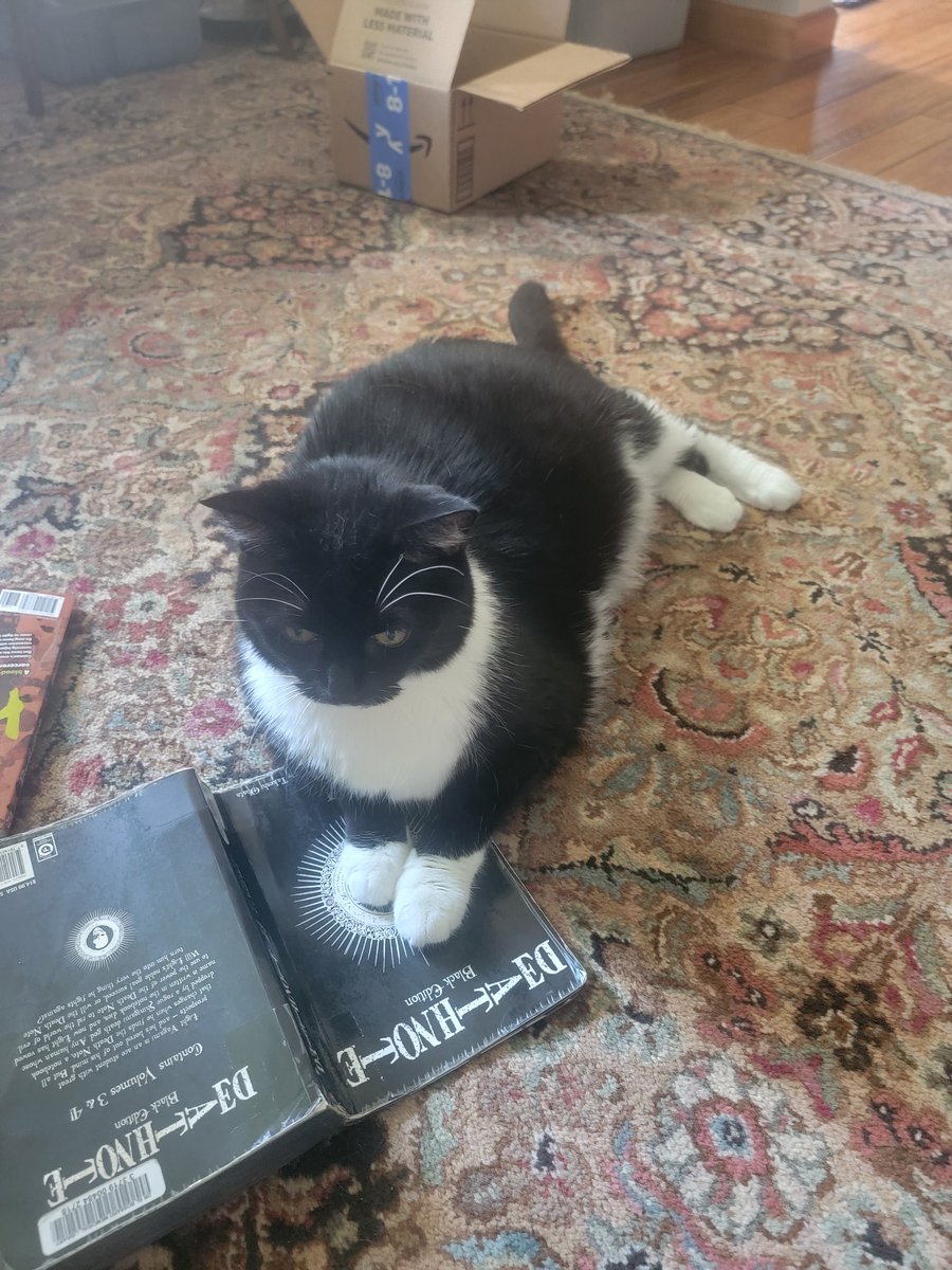 Cat_Russell_'s tweet image. Nervously watching as my cat grabs a pen