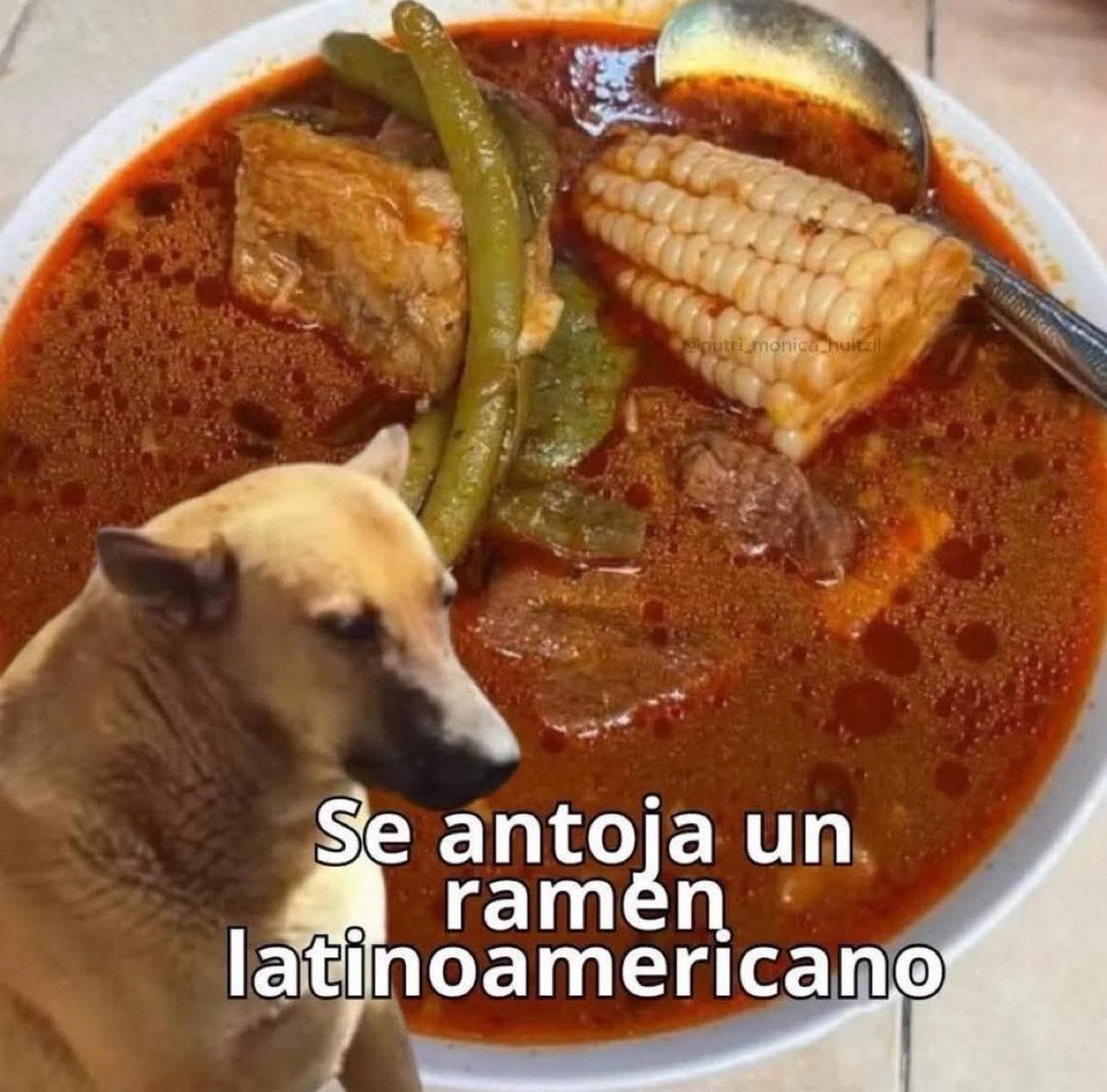 MexicoMagico's tweet photo. https://t.co/NYgHVYkyu9
