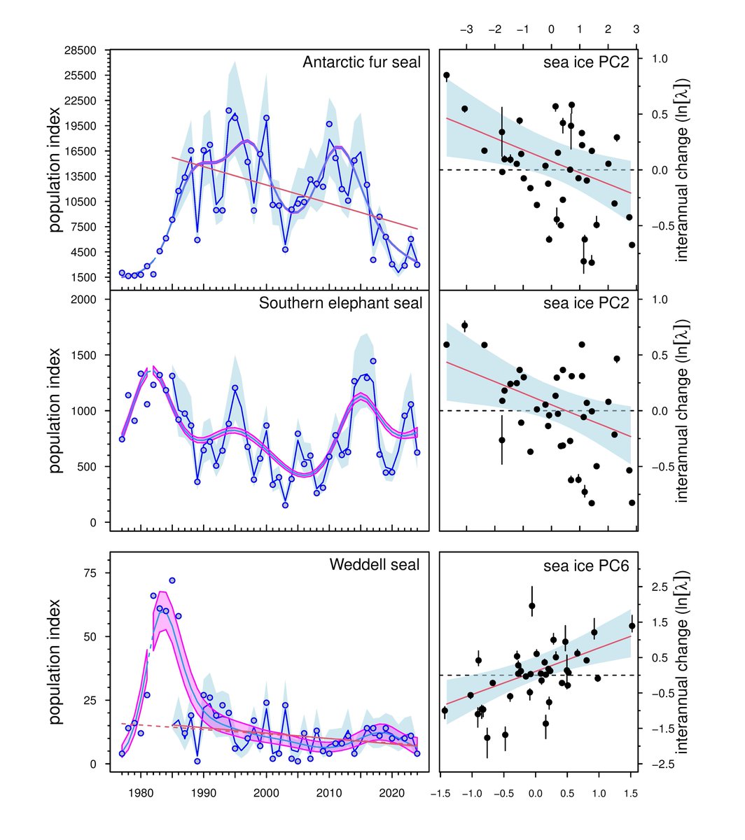 GlobalChangeBio's tweet image. Temporary Absence of Warming in the Northern Weddell Sea Validates Expected Responses of Antarctic Seals to Sea Ice Change 

🔗 buff.ly/sgPVq1X
