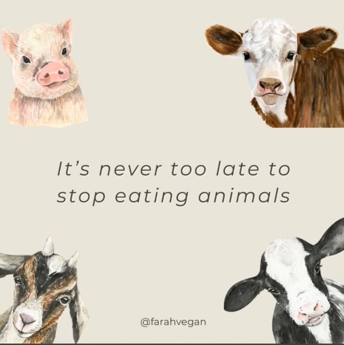 Tamara Cassidy, Vegan, Animal Liberation Activist (@animalandlandxo) on Twitter photo 