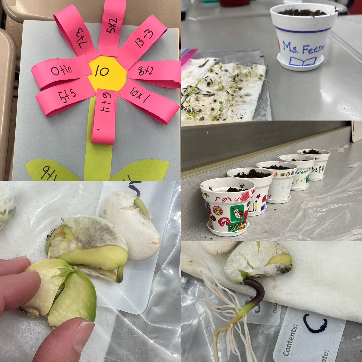 Kelly Feeney tweet media