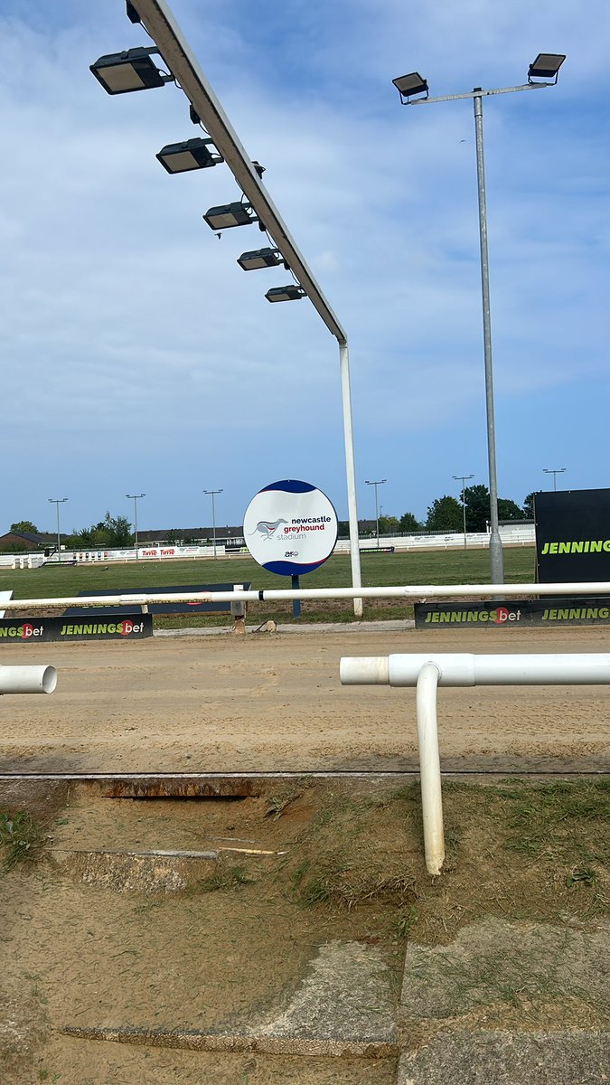 📍Checking In <a href="/NewcastleDogs/">Newcastle Greyhound Stadium</a>