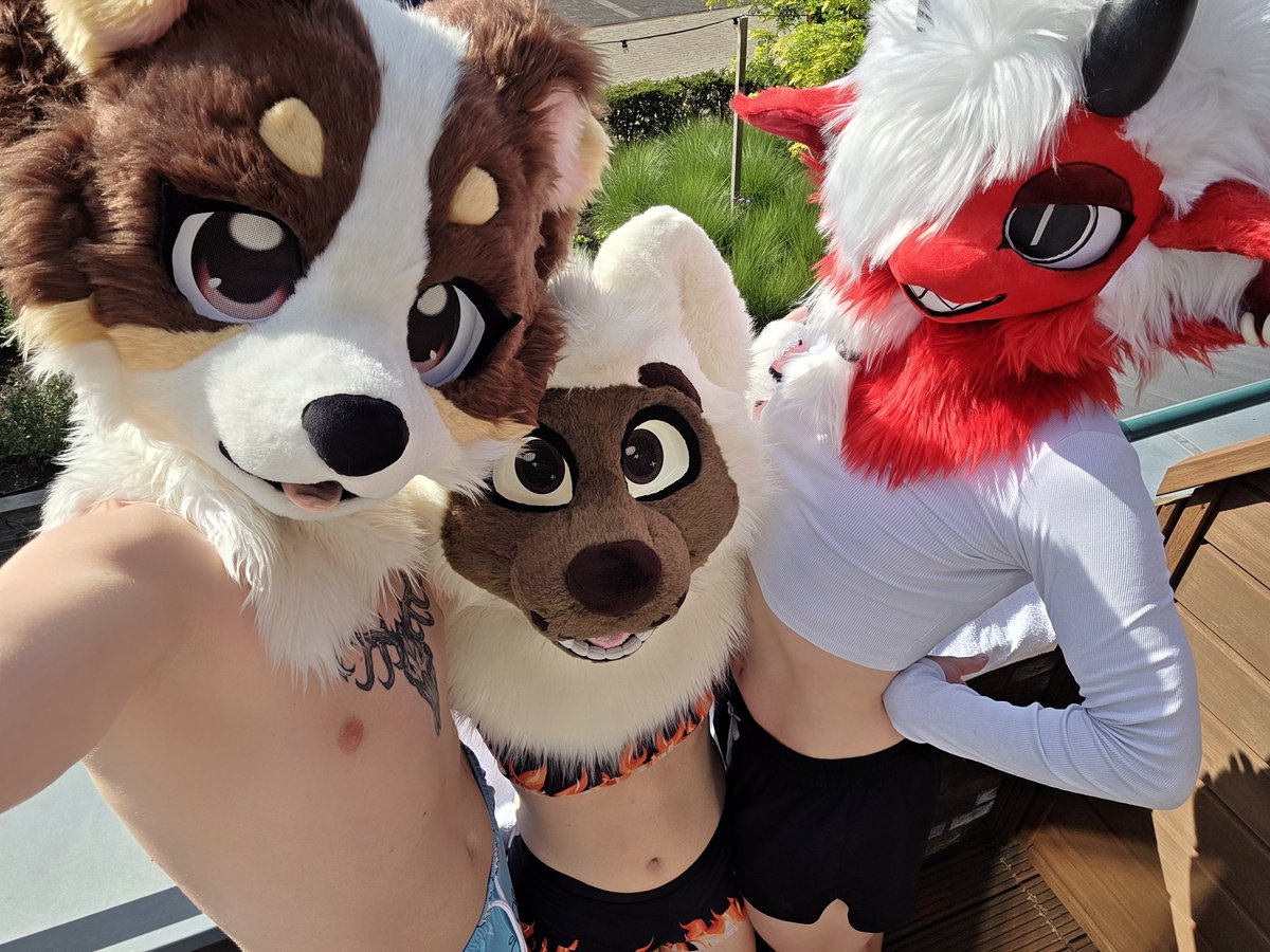KindridFox's tweet image. Swimming gang!!!