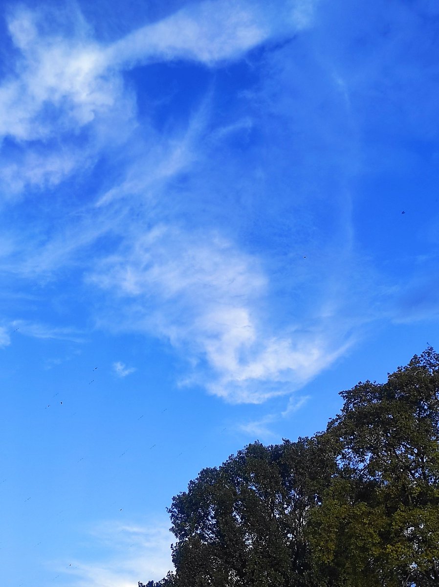 न ऊ सँग  नियत छ, न आवाजको चाहना,
छ केवल क्षणहरूम‌ै हराउने गरि 
नलेखिएका सपनाहरू !!
जहाँ,
शुन्य आकाशको निलो पानामा 
बादलले लेखेको कथा पढ्दै,
छायाँ पछ्याउँदै,
आफ्नै गहिराइमा प्रश्न बिनाको उत्तर खोजिरहेछ।
#Vu1 #poetry