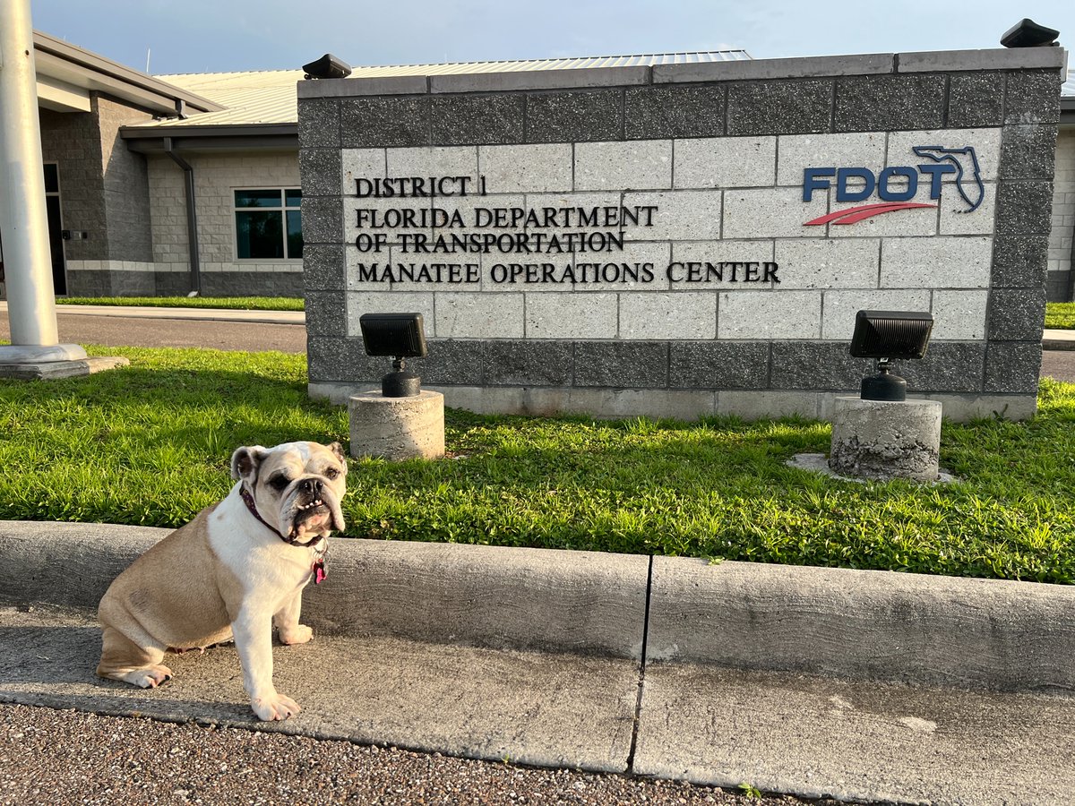 MyFDOT_SWFL's tweet image. 🚧 At FDOT, we’re dedicated to keeping our roads safe! 🌟 From clearing drainage before storms roll in, to reducing roadway congestion and designing safer routes, we're on it.
We all have something special waiting for us at home. Take our adorable friend, Ruby, as an example!🐾