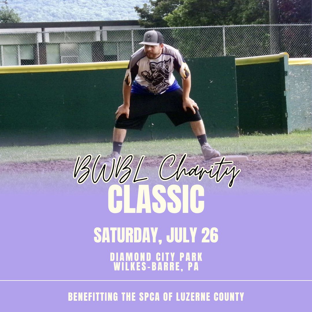 Scared Hitless Wiffle Ball - BWBL tweet media