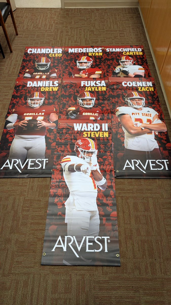 New stadium banners arrived 🦍🏈