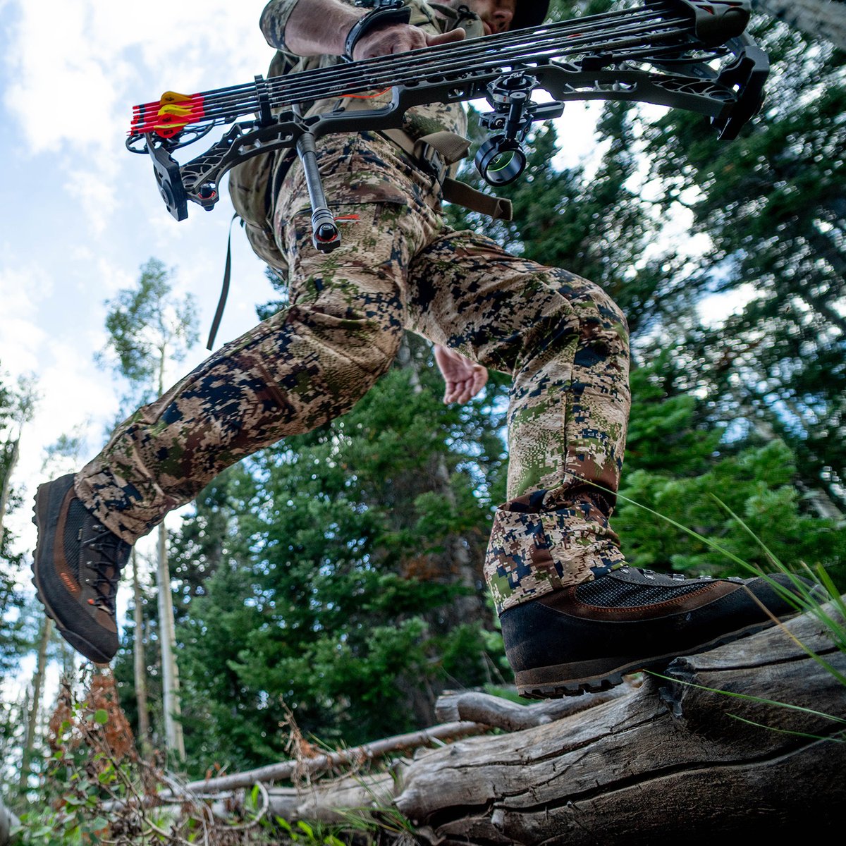 MidwayUSA's tweet image. Anyone planning on chasing elk with a bow this year?

📷 Crispi