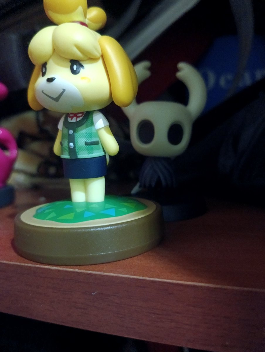 Truba🥝 (@trubakiwi) on Twitter photo 