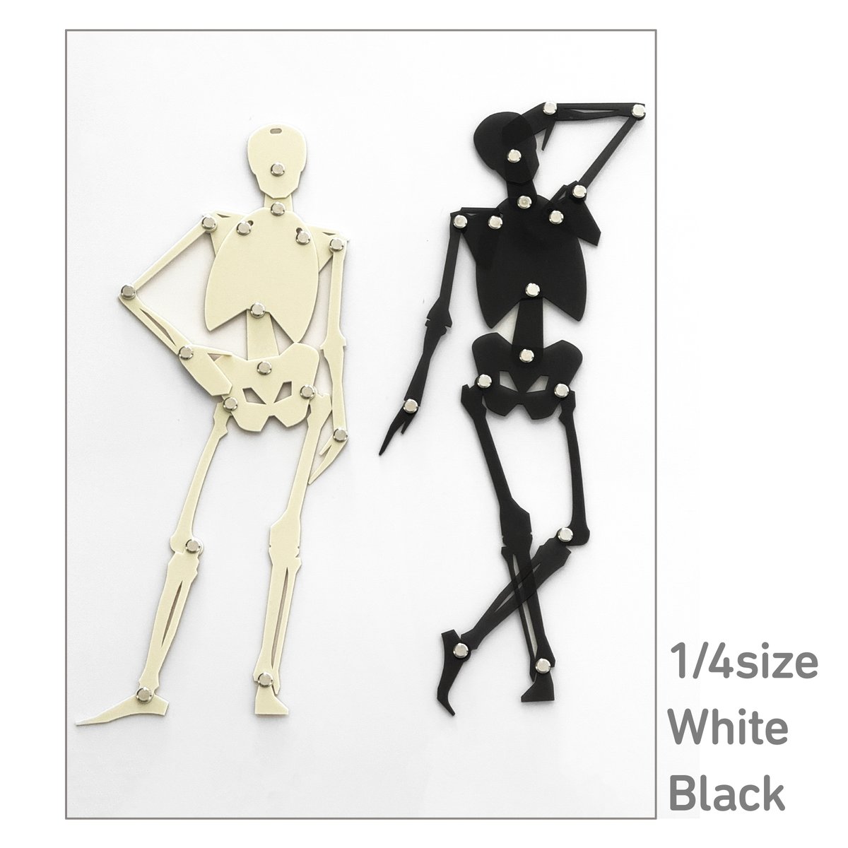 artanatomylab's tweet image. 7/27にワンフェスで発表予定の「骨格テンプレート(正面)」をBoothに追加しました。*本製品は組み立てキットです。anatomytutorials.booth.pm/items/7222523